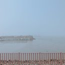 갯마을해물손칼국수 이미지