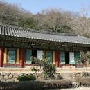 매월리입구 삼거리   온덕마을 | 대흥사 ( 전남 해남)위치, 역사적 배경, 볼거리