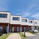 판포보름 이미지