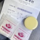 용호동물병원 이미지