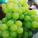 봉기농장 이미지