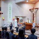 성바오로유치원 이미지