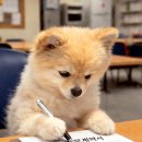 군포복합물류센터(SPCGF) | 힘든데… 또 나감 (당일지급 군포 물류 후기)