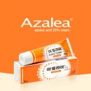 아젤리아 네이버블로그