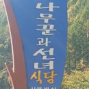 곰배령새소리 이미지