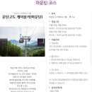 금광농장 | 하이원 운탄고도 케이블카 마운틴 코스 왕복 탑승후기.(구름담은 카페) 해발 1340M 하이원탑 정상이...