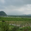 사과나무부동산중개사무소 이미지