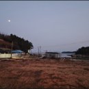 수산식자재