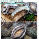 완도전복 이미지