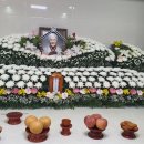 고모농장 Daum카페