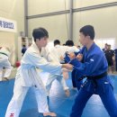 공명유도주짓수 이미지