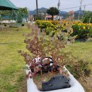 풍경이아름다운집 이미지