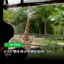 휴먼스카이밸리관리단 | 에버랜드 로스트밸리 명당자리 평일 대기시간 동물