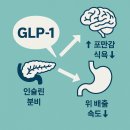감귤PC | 유도하는 다이어트 플랜! 💊[넥시탑 파이토젠 ]AC·PC로 식욕억제부터 지방대사까지!🍀자연스럽게 살...
