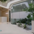 강남파인즈치과의원 이미지