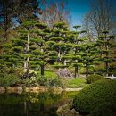 자연의향기 이미지