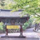 대원사계곡 이미지