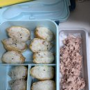 에버에너지 | 2025 에버랜드 서킷런 10K 후기