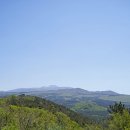 한라산을바라보는쉼터 이미지