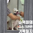 덕신동물병원 네이버블로그