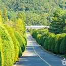 전라남도 산림박물관 이미지