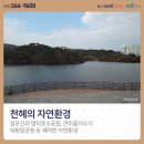 현대청운중 앞 이미지