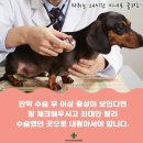곤지암동물병원