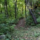 언덕나무펜션 이미지