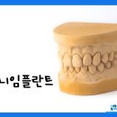 이좋은치과 - 용인시 기흥구 보정로 32 | 이좋은치과
