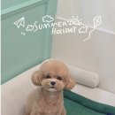 예쁘개해줄개 이미지