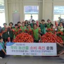 양성농협 하나로마트 이미지