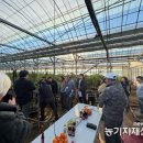 최익준 카카오 검색결과