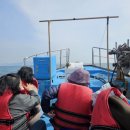 신광발전소 이미지