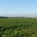 동평농장 이미지