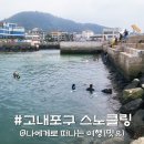 고내마을 | 제주 스노클링 체험 포인트, 고내포구 성게 해루질 어때?