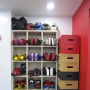 판테라짐 이미지