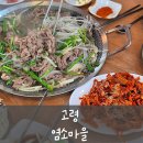 고령염소마을 | [고령] 염소마을 _ 염소 요리 핫플 고령 맛집 ( 염소 불고기 염소껍질무침 후기)