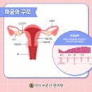 미사바른선한의원 이미지