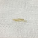 보라매동물병원 이미지