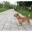 아이조아요양호텔 이미지