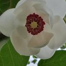 홍천농장 이미지