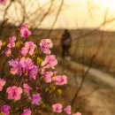 산과들과바다와함께 이미지