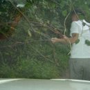 삼백주유소 이미지