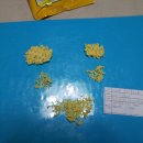 누리글터지역아동센터 이미지