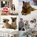 갑을농장 이미지