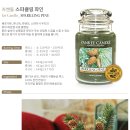 파인 힐링 이미지