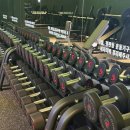 에스휘트니스 | 영등포구청역 헬스장 신규 오픈한 당산동 pt 더블에스휘트니스 후기