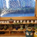 야당고을양고기통바베큐 이미지