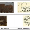 파피루스(Papyrus)