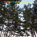 진하보건진료소 이미지